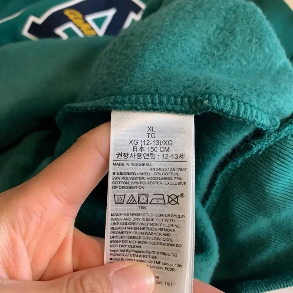 Gap Sweatshirt Girls XL Extra Large Balsam Big Logo Fleece Lined Pullover Hoodie